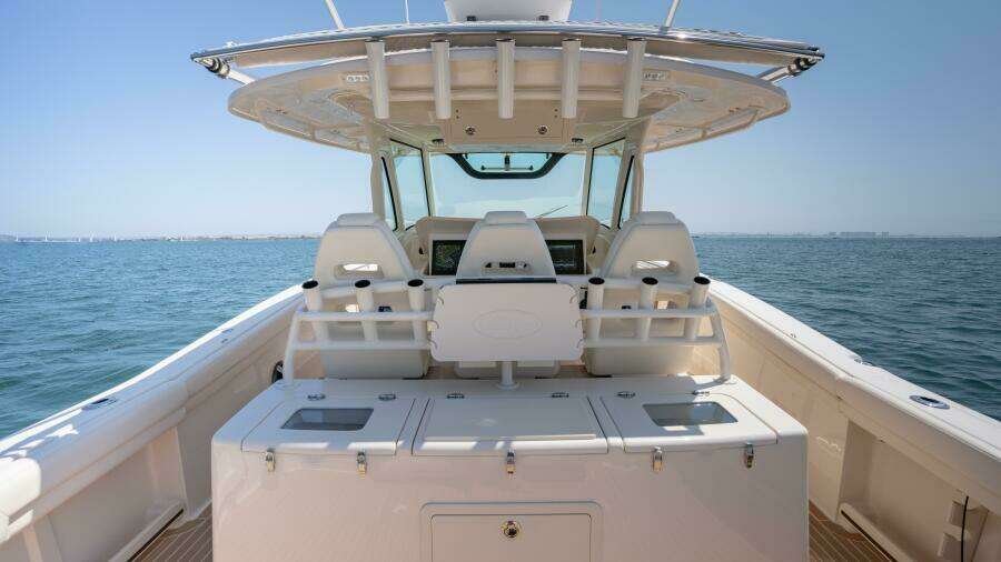 2019 Grady-White 376 Canyon CARPE DIEM - Helm