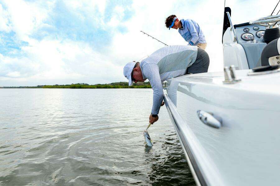 20ft Bayliner Yacht For Sale