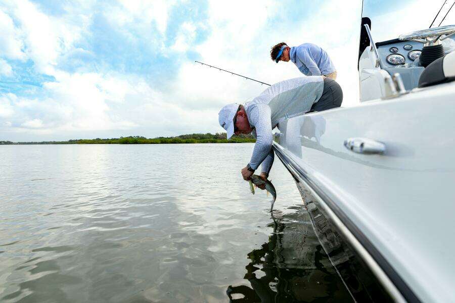 20ft Bayliner Yacht For Sale