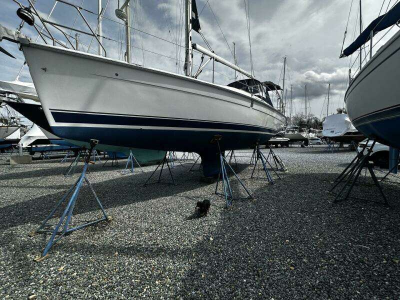 Santa Cruz 33ft Hunter Yacht For Sale