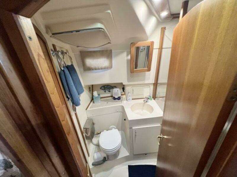 27 Current Dream 2002 Mainship 390 Head 1 Medium