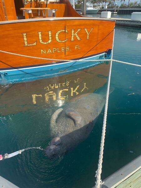 Lucky 55ft Rybovich Yacht For Sale