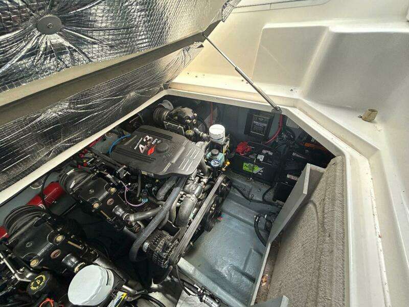 Loose Seal 28ft Sea Ray Yacht For Sale