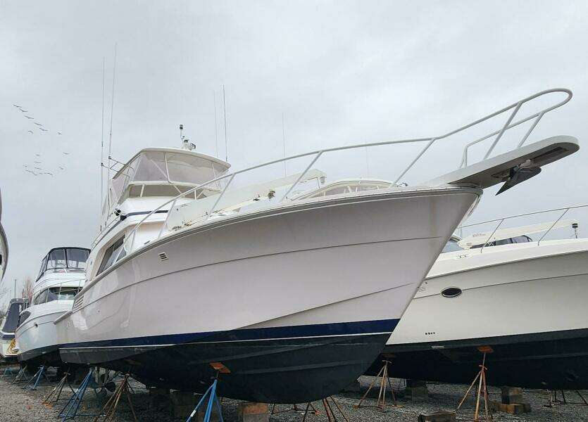 It is what it is  46ft Bertram Yacht For Sale