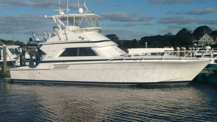It is what it is  46ft Bertram Yacht For Sale