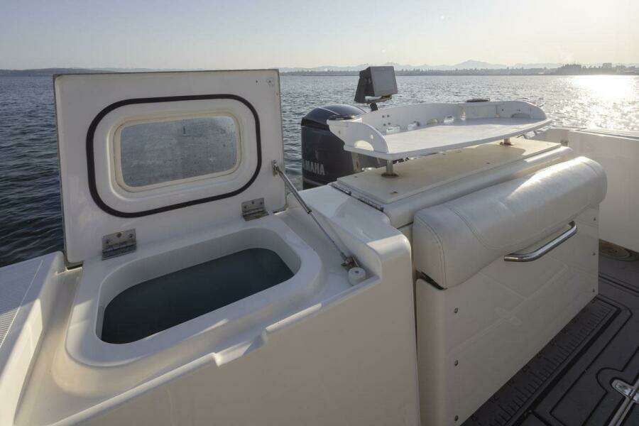 SALT 34ft Pursuit Yacht For Sale