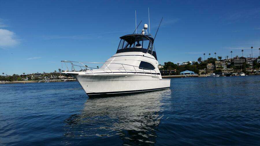 39ft Bertram Yacht For Sale