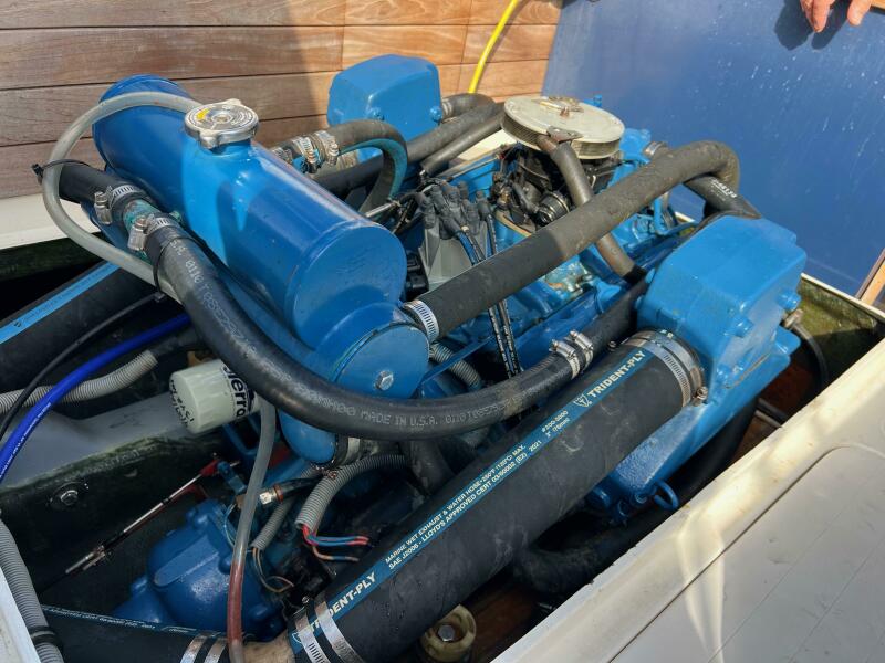 1984 Bertram 26 Express Moppie — 1984 Bertram Express Moppie Power 9799450 978458867 0 190520250638 15