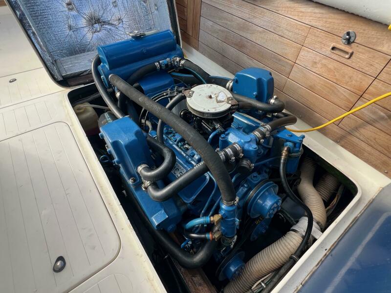 1984 Bertram 26 Express Moppie — 1984 Bertram Express Moppie Power 9799450 978458873 0 190520250638 21