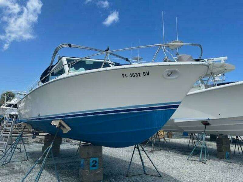 1984 Bertram Express Moppie Power 9799450 978458860 0 190520250637 8