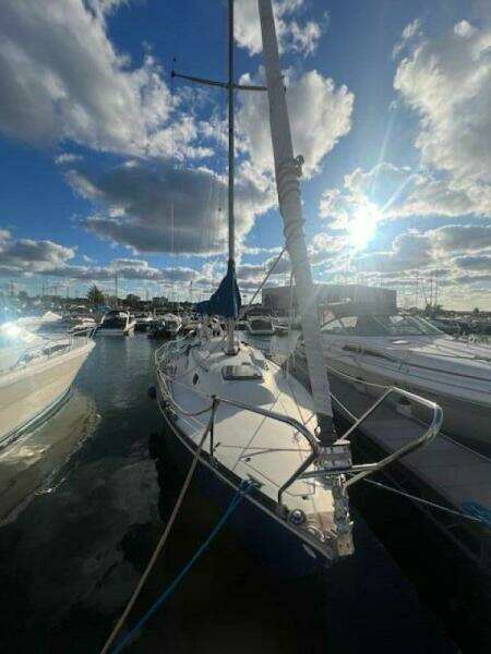Blew By You 30ft C amp C Yacht For Sale