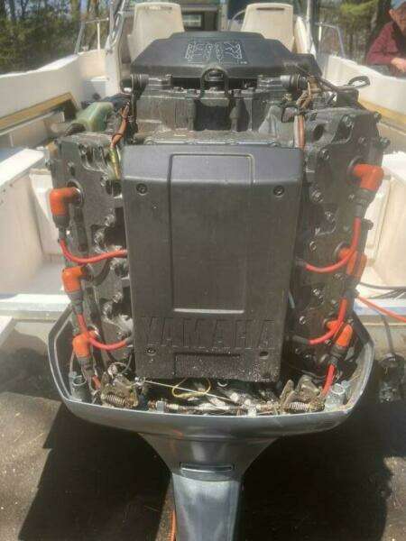 Spark Plug 