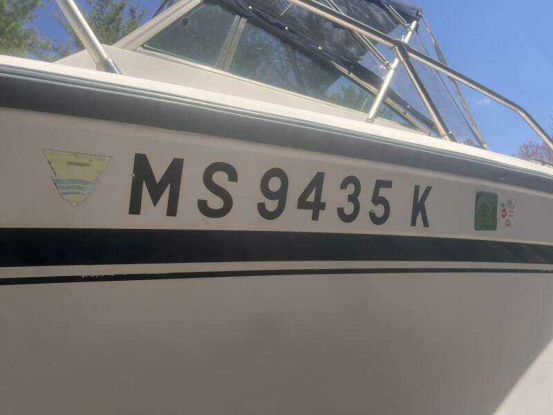 MS Reg Numbers