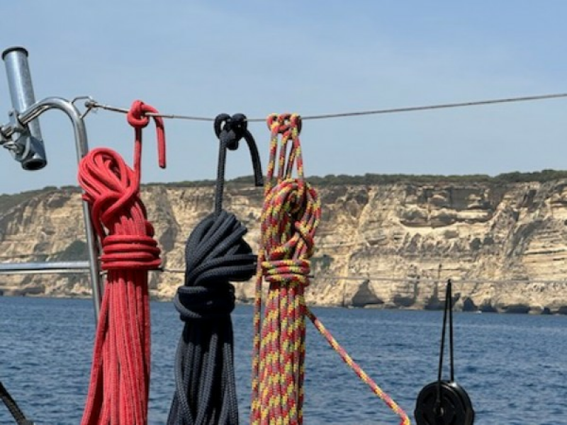 Used Sail Catamaran for sale