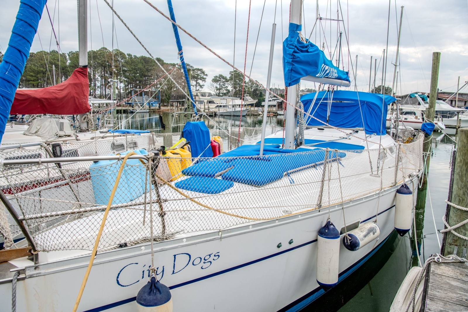City Dogs 39ft Beneteau Yacht For Sale