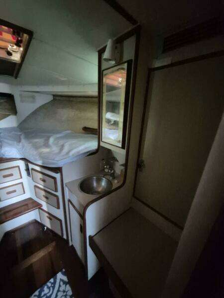 Gone Coastal 38ft Bertram Yacht For Sale