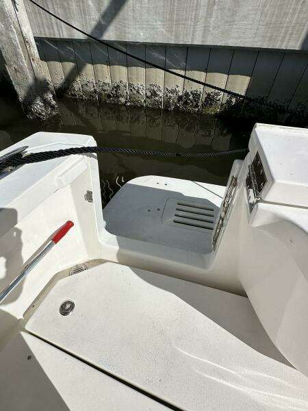 Transom Door