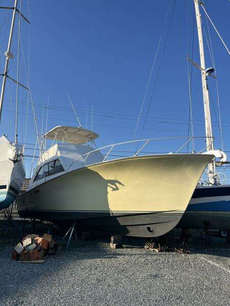 Intimidator 50ft Ocean Yacht For Sale