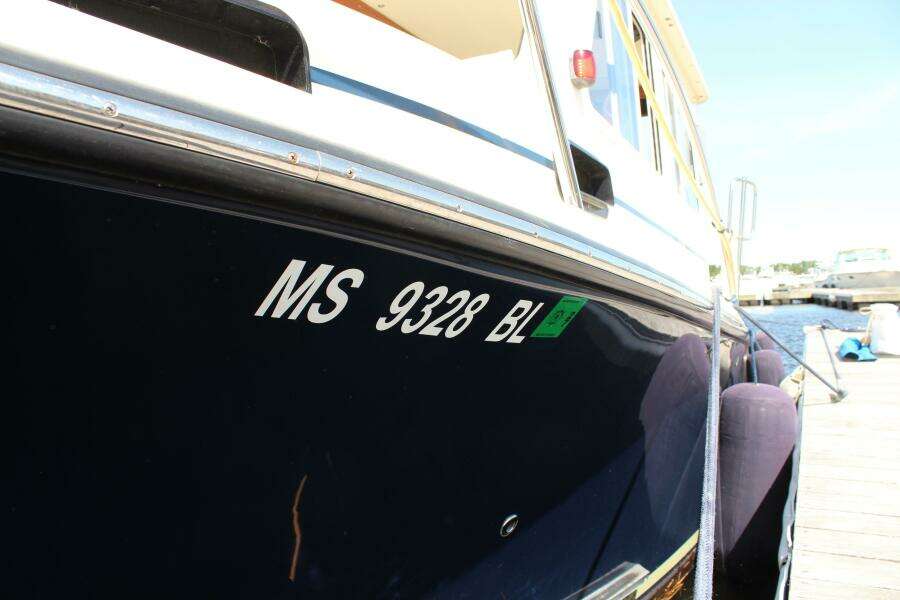 Reg Numbers