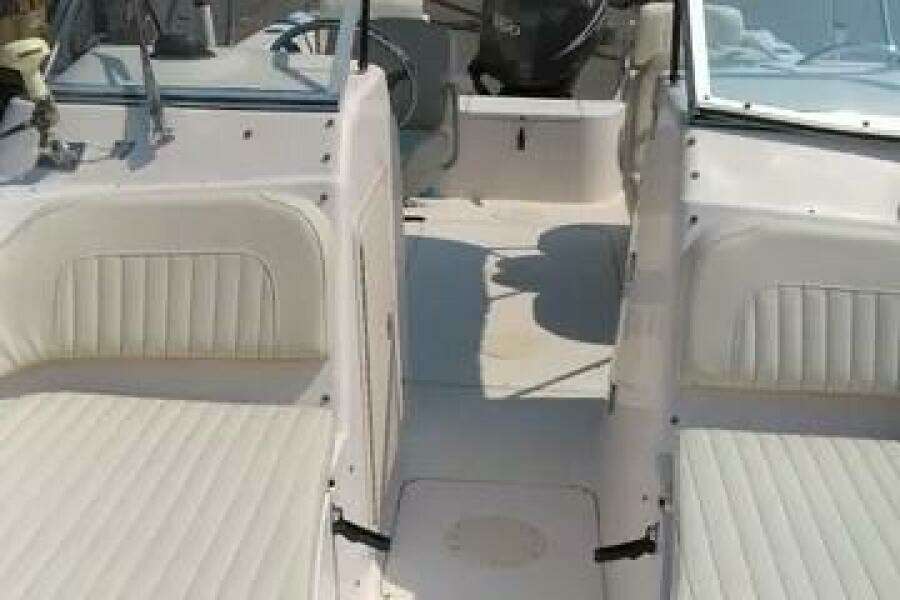 FIsh  amp  Chips 20ft Grady White Yacht For Sale