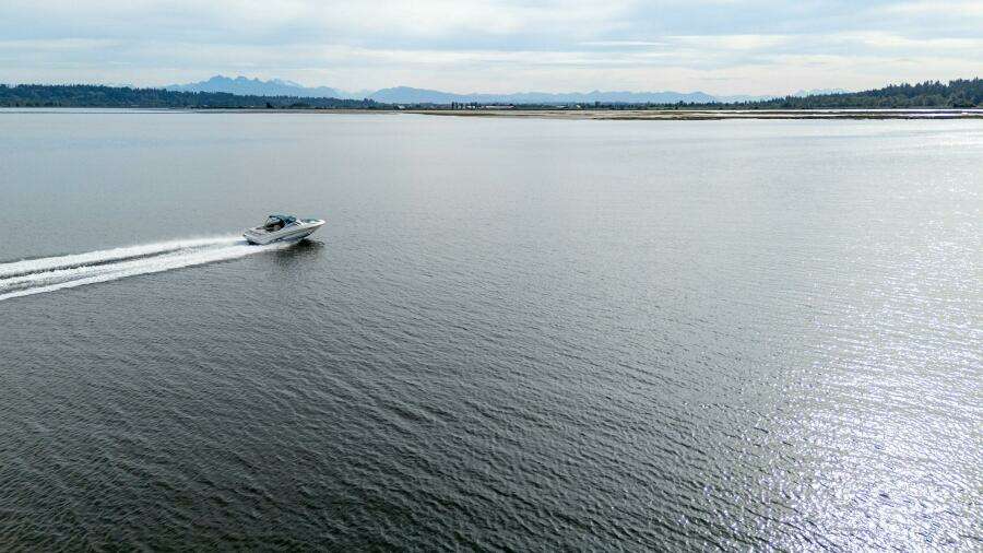 19ft Sea Ray Yacht For Sale