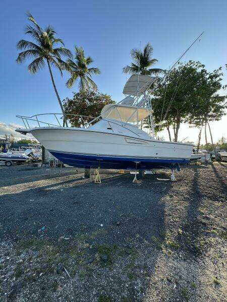 Primo 29ft Pursuit Yacht For Sale