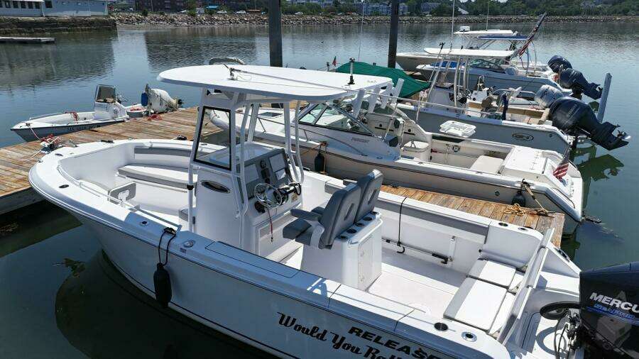 24ft Release Yacht For Sale