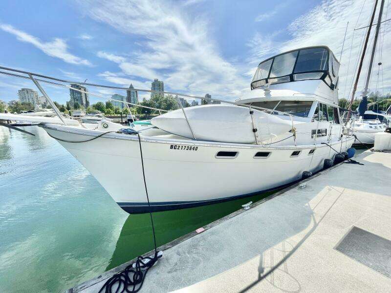 Outrageous 38ft Bayliner Yacht For Sale