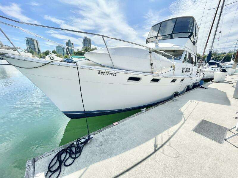 Outrageous 38ft Bayliner Yacht For Sale
