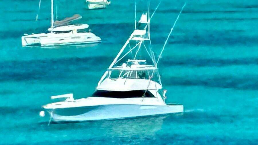 2005 Viking 74 Convertible 'Liquid Gold'