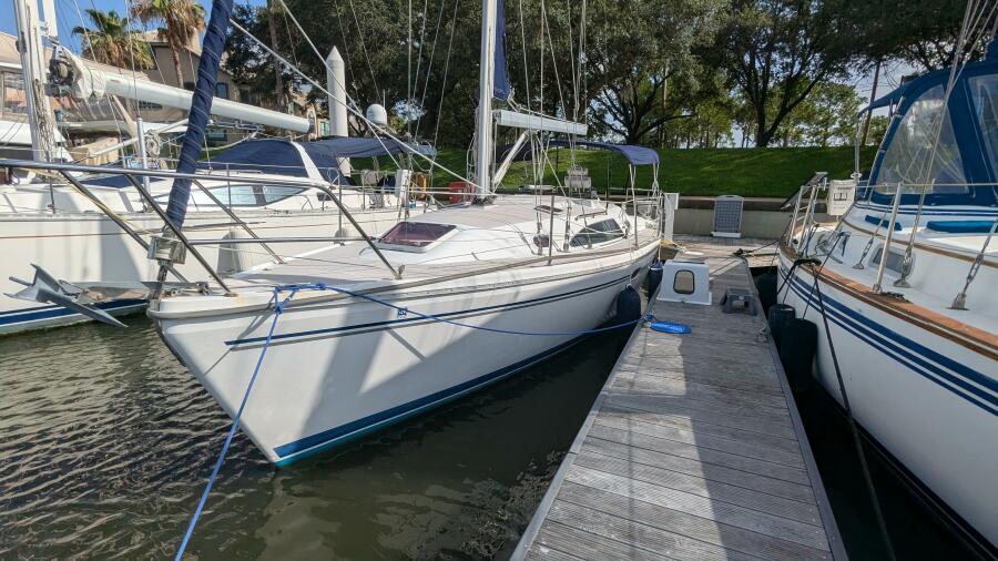 2009 Catalina 309