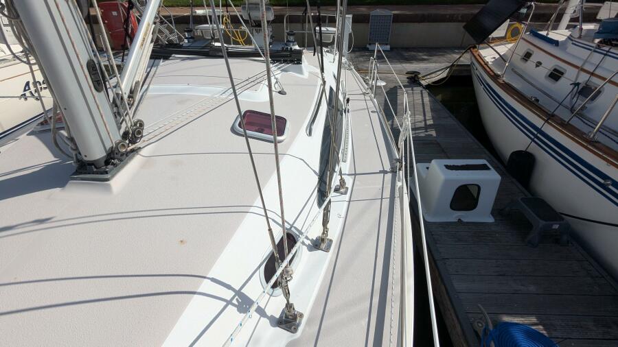 2009 Catalina 309