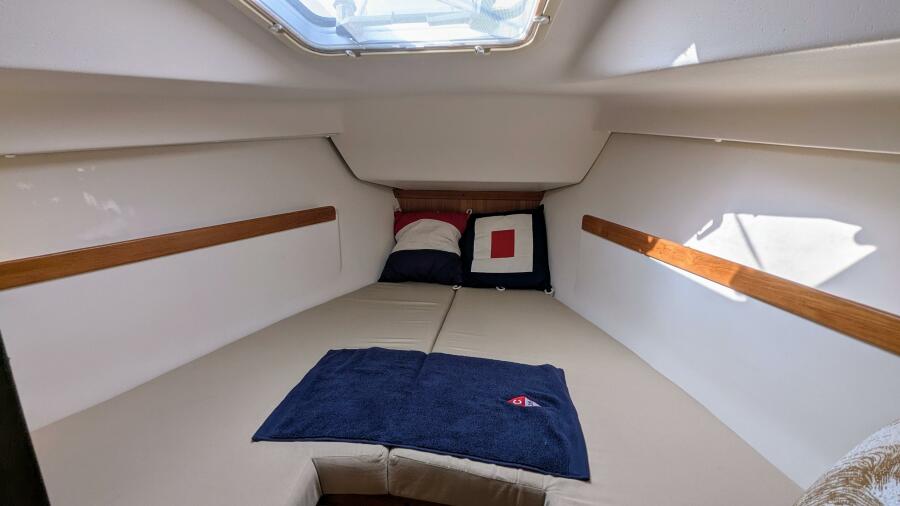 2009 Catalina 309