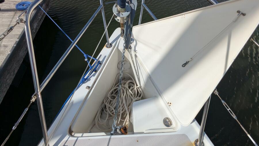 2009 Catalina 309