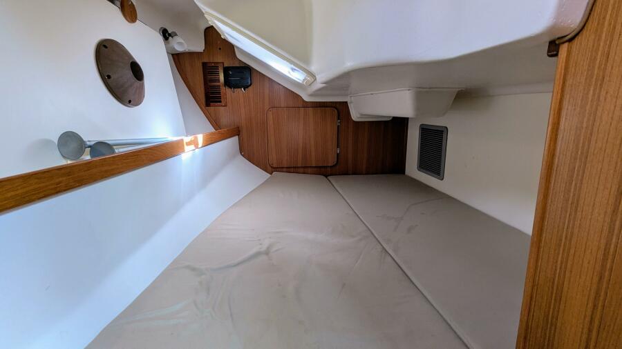 2009 Catalina 309