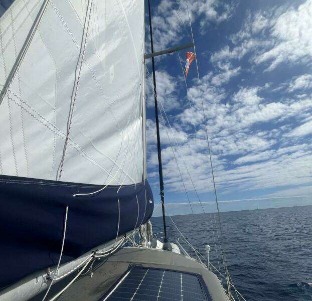 Tohi 41ft Morgan Yacht For Sale