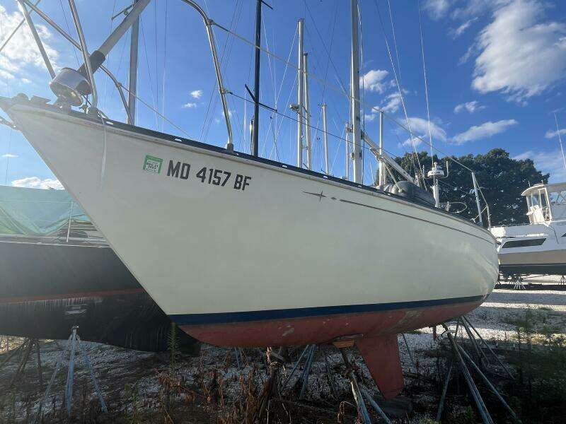 24ft C amp C Yacht For Sale