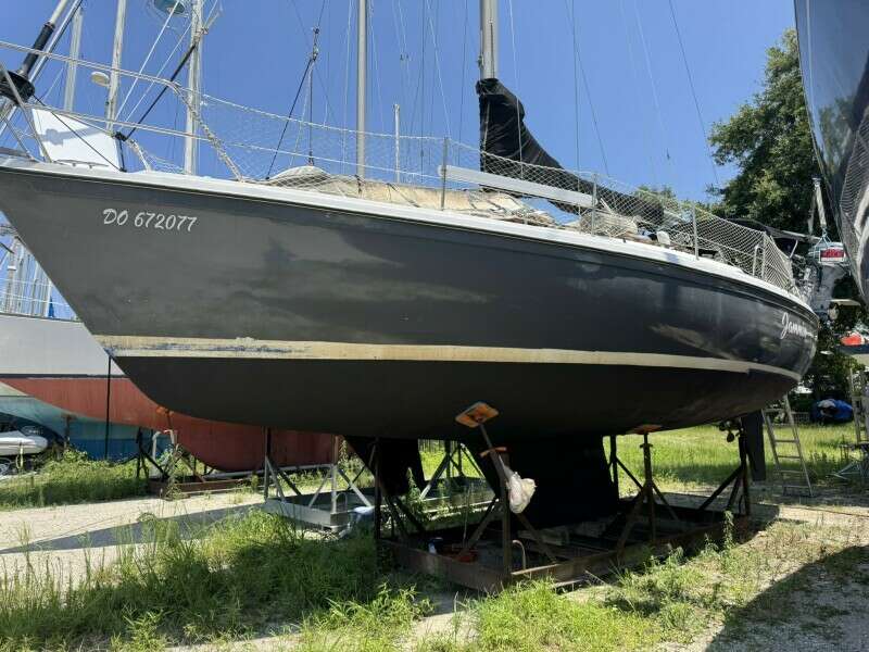JAMMIN 36ft Catalina Yacht For Sale