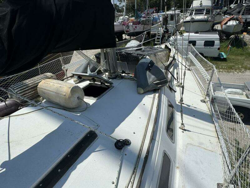 JAMMIN 36ft Catalina Yacht For Sale