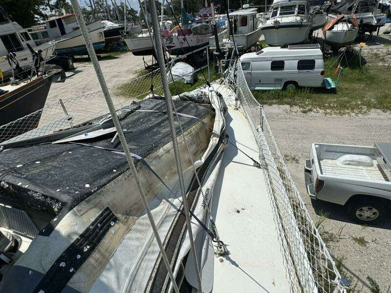JAMMIN 36ft Catalina Yacht For Sale