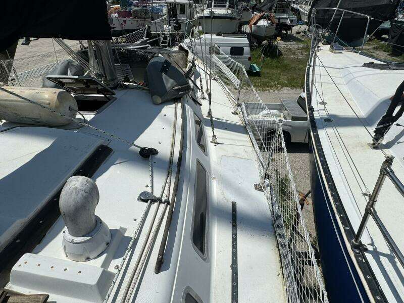 JAMMIN 36ft Catalina Yacht For Sale