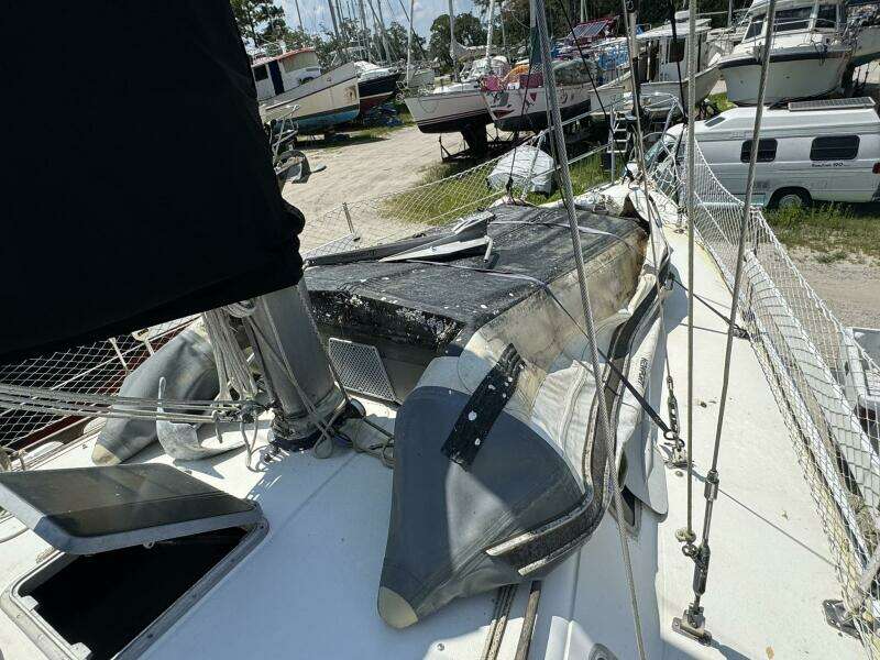 JAMMIN 36ft Catalina Yacht For Sale