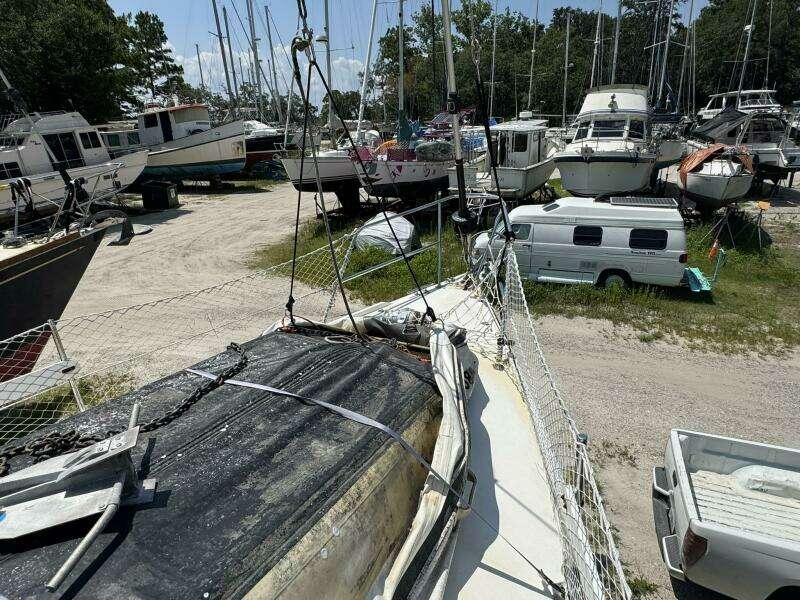 JAMMIN 36ft Catalina Yacht For Sale