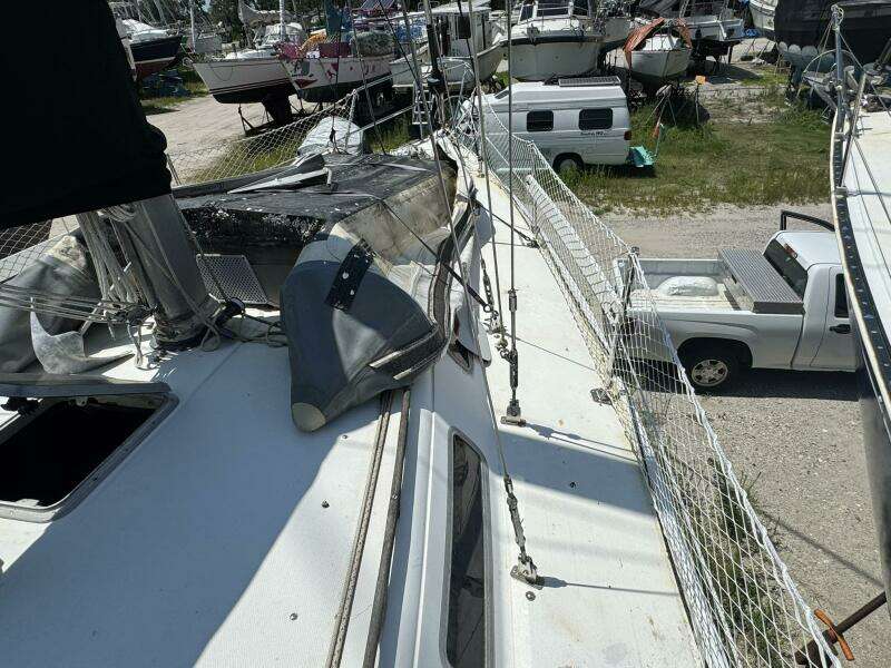 JAMMIN 36ft Catalina Yacht For Sale