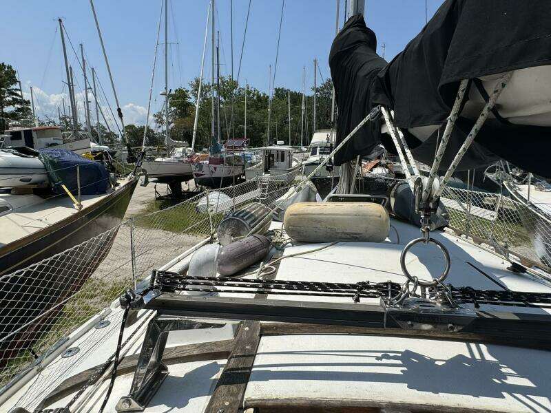 JAMMIN 36ft Catalina Yacht For Sale