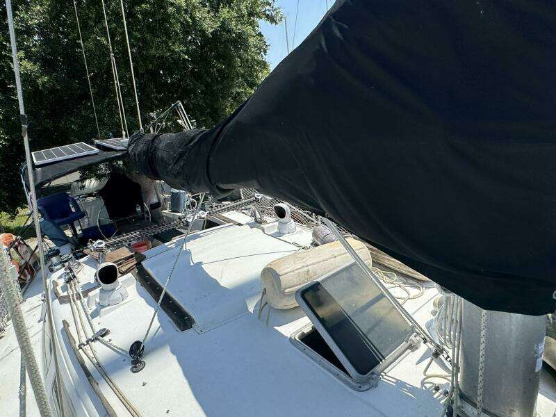 JAMMIN 36ft Catalina Yacht For Sale