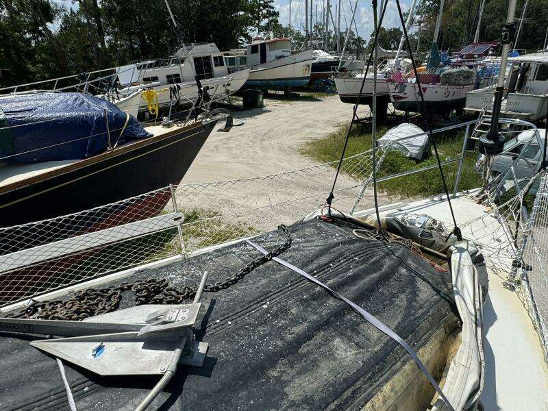 JAMMIN 36ft Catalina Yacht For Sale