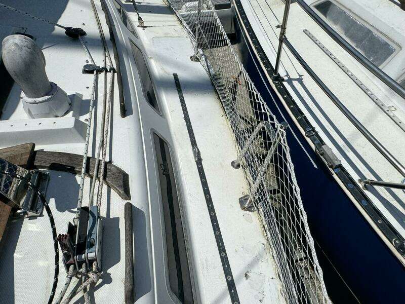 JAMMIN 36ft Catalina Yacht For Sale