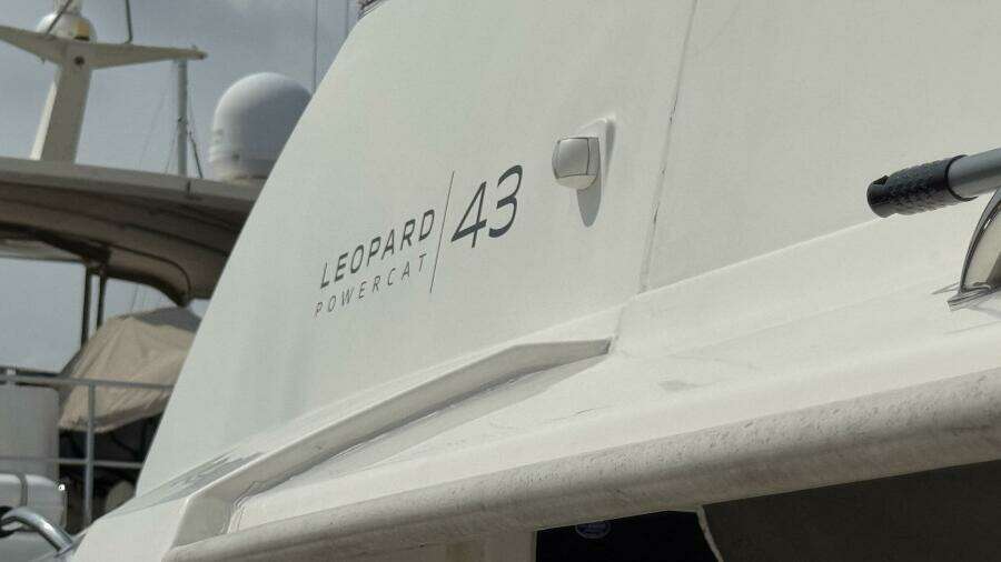 2018 Leopard Power Cat