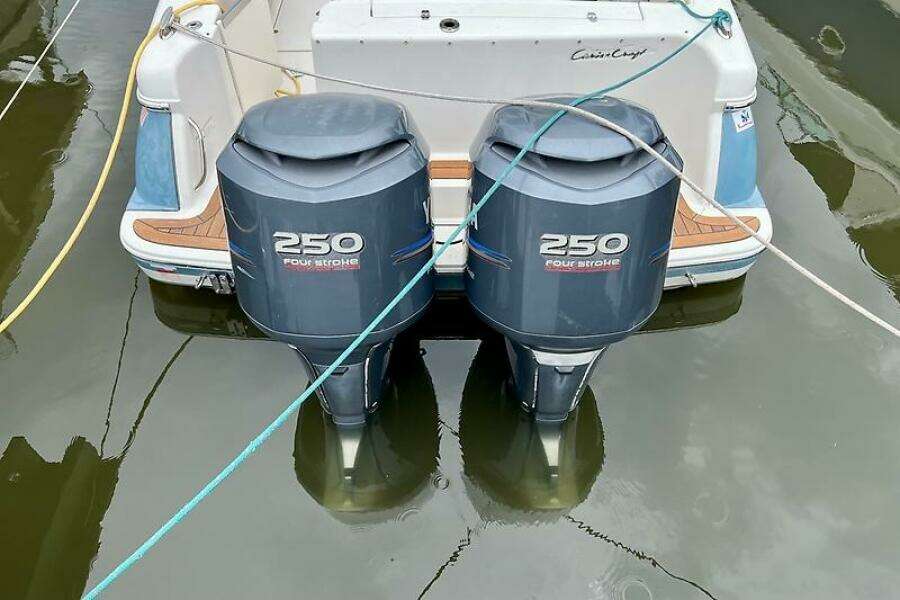 0005255970